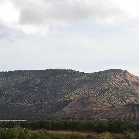 Finca El Vizconde Naturaleza Con Tus Hijos Arquillos ภายนอก รูปภาพ