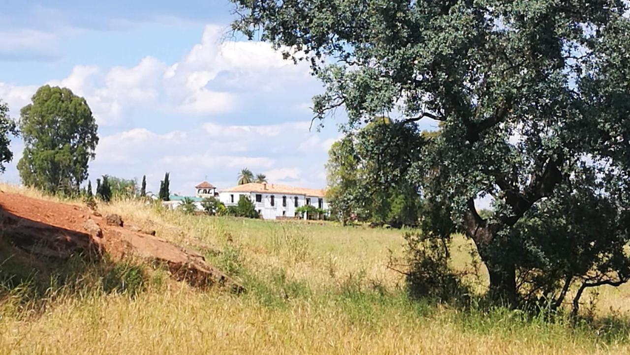 Finca El Vizconde Naturaleza Con Tus Hijos Arquillos ภายนอก รูปภาพ