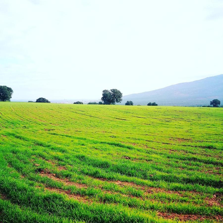 Finca El Vizconde Naturaleza Con Tus Hijos Arquillos ภายนอก รูปภาพ