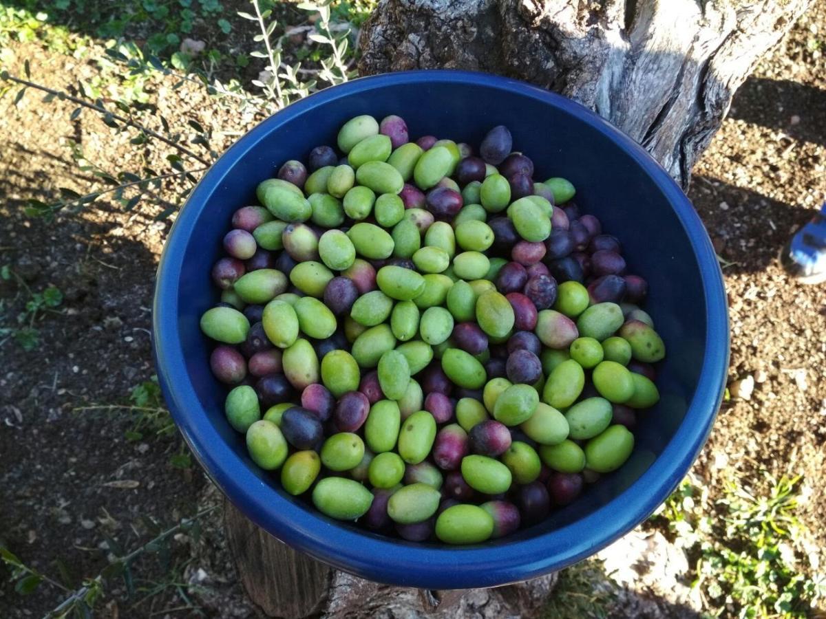 Finca El Vizconde Naturaleza Con Tus Hijos Arquillos ภายนอก รูปภาพ