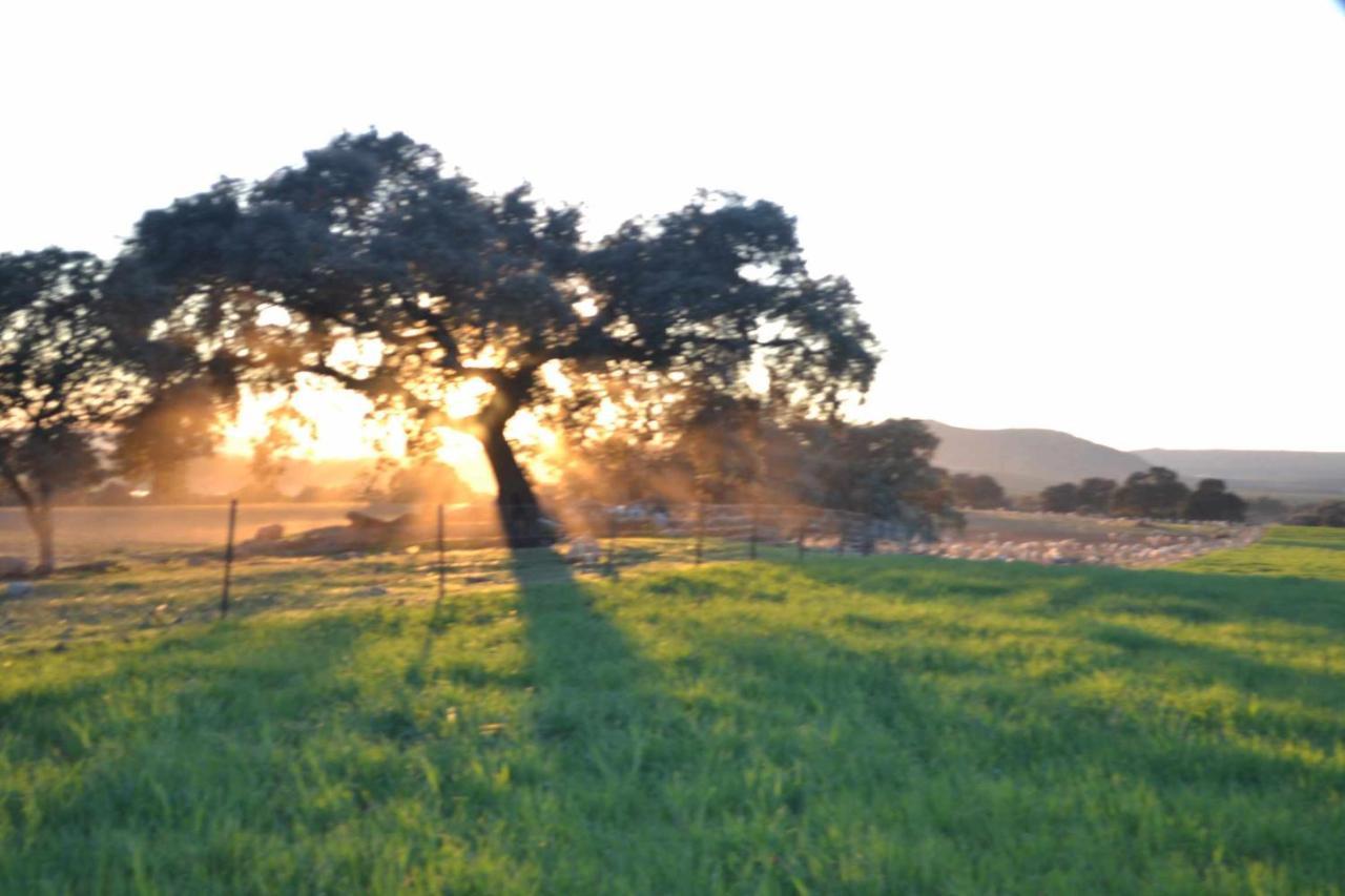 Finca El Vizconde Naturaleza Con Tus Hijos Arquillos ภายนอก รูปภาพ