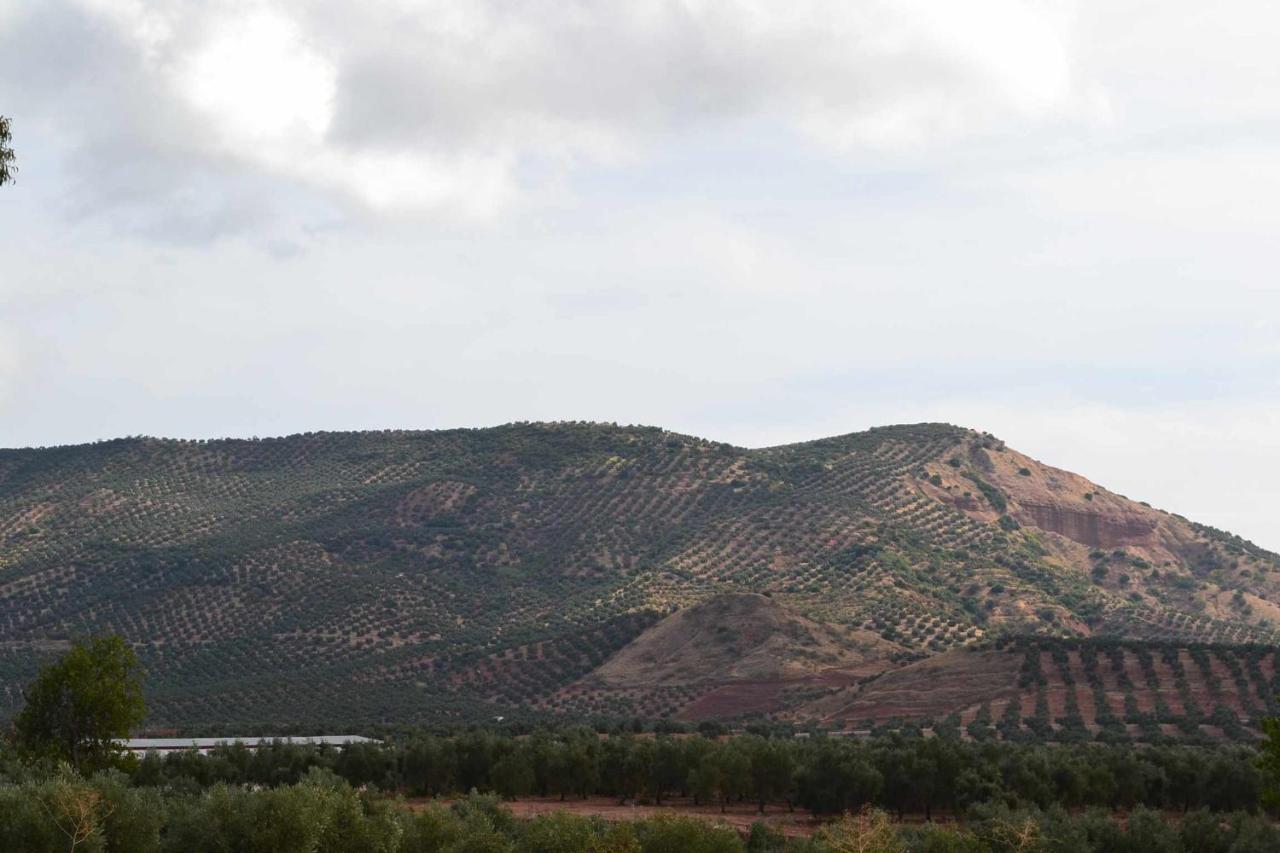 Finca El Vizconde Naturaleza Con Tus Hijos Arquillos ภายนอก รูปภาพ