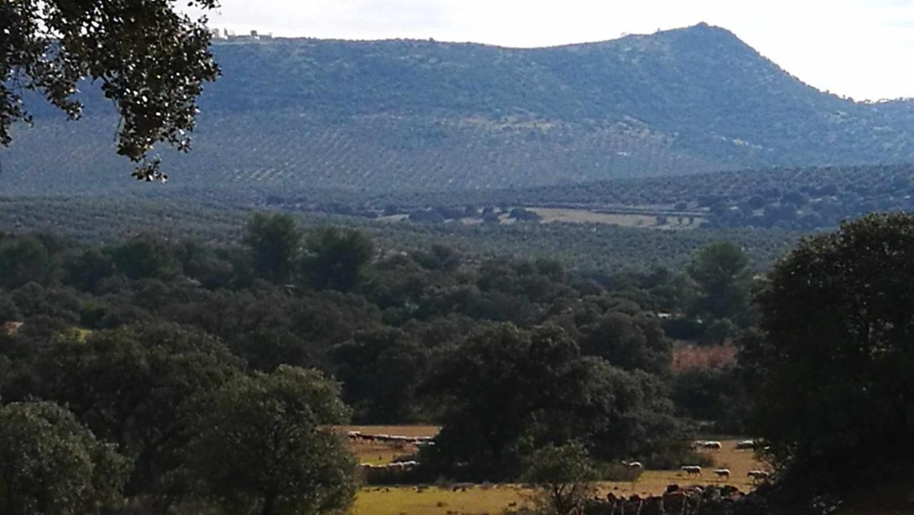 Finca El Vizconde Naturaleza Con Tus Hijos Arquillos ภายนอก รูปภาพ