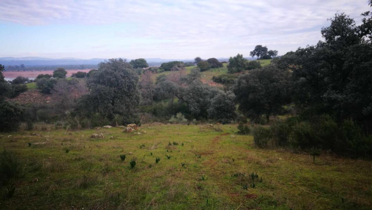 Finca El Vizconde Naturaleza Con Tus Hijos Arquillos ภายนอก รูปภาพ