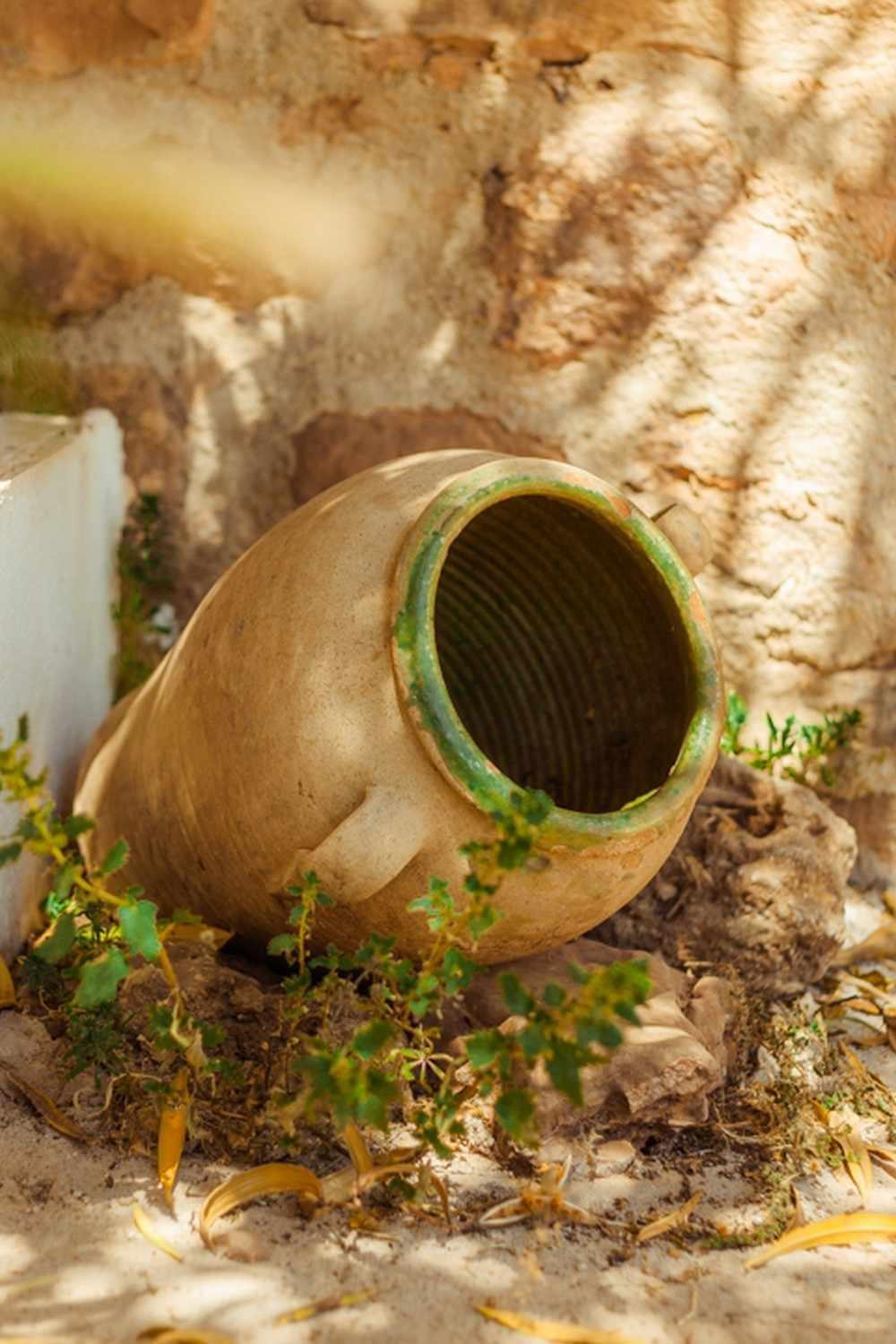 Finca El Vizconde Naturaleza Con Tus Hijos Arquillos ภายนอก รูปภาพ
